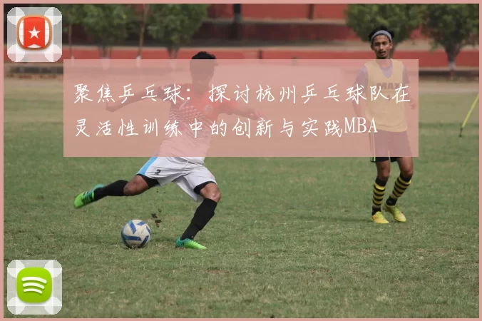 聚焦乒乓球：探讨杭州乒乓球队在灵活性训练中的创新与实践MBA