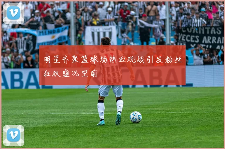 明星齐聚篮球场热血观战引发粉丝狂欢盛况空前