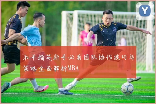 和平精英新手必看团队协作技巧与策略全面解析MBA