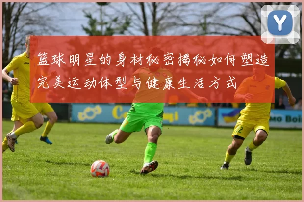 篮球明星的身材秘密揭秘如何塑造完美运动体型与健康生活方式