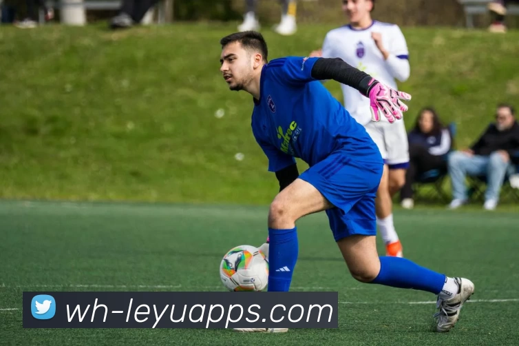 leyu平台品牌故事