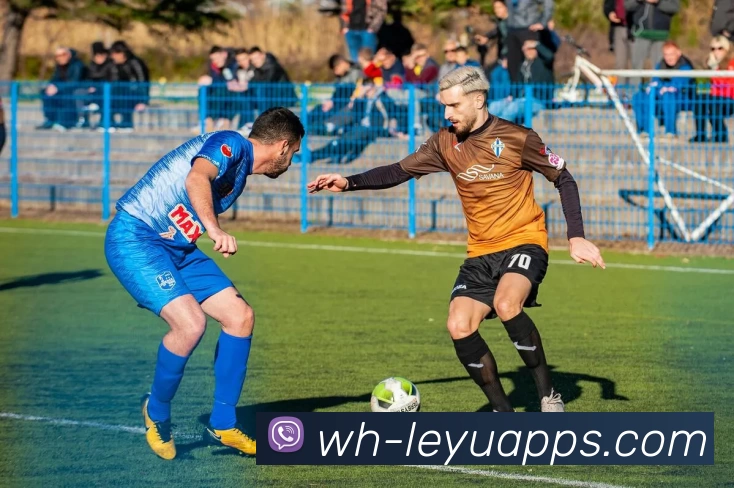 leyu平台服务体系