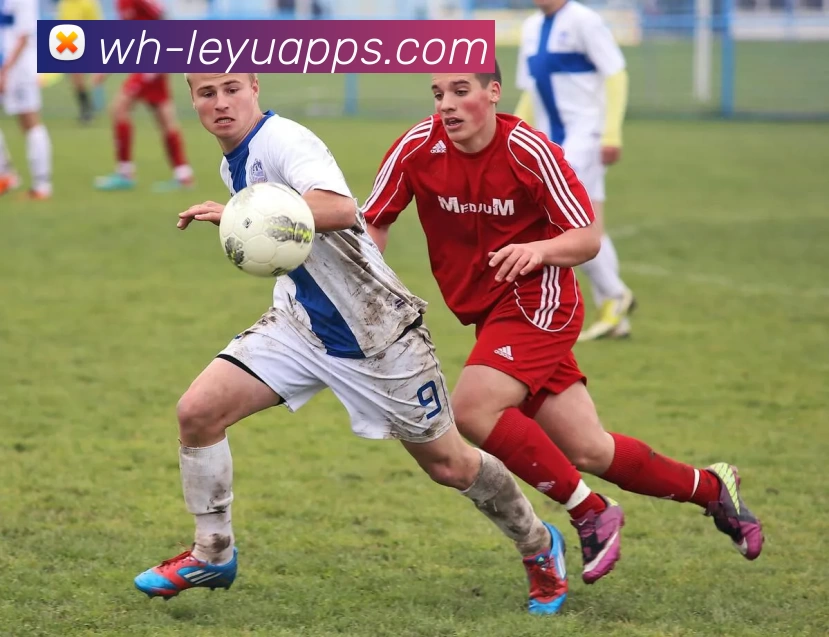 多媒体互动体验